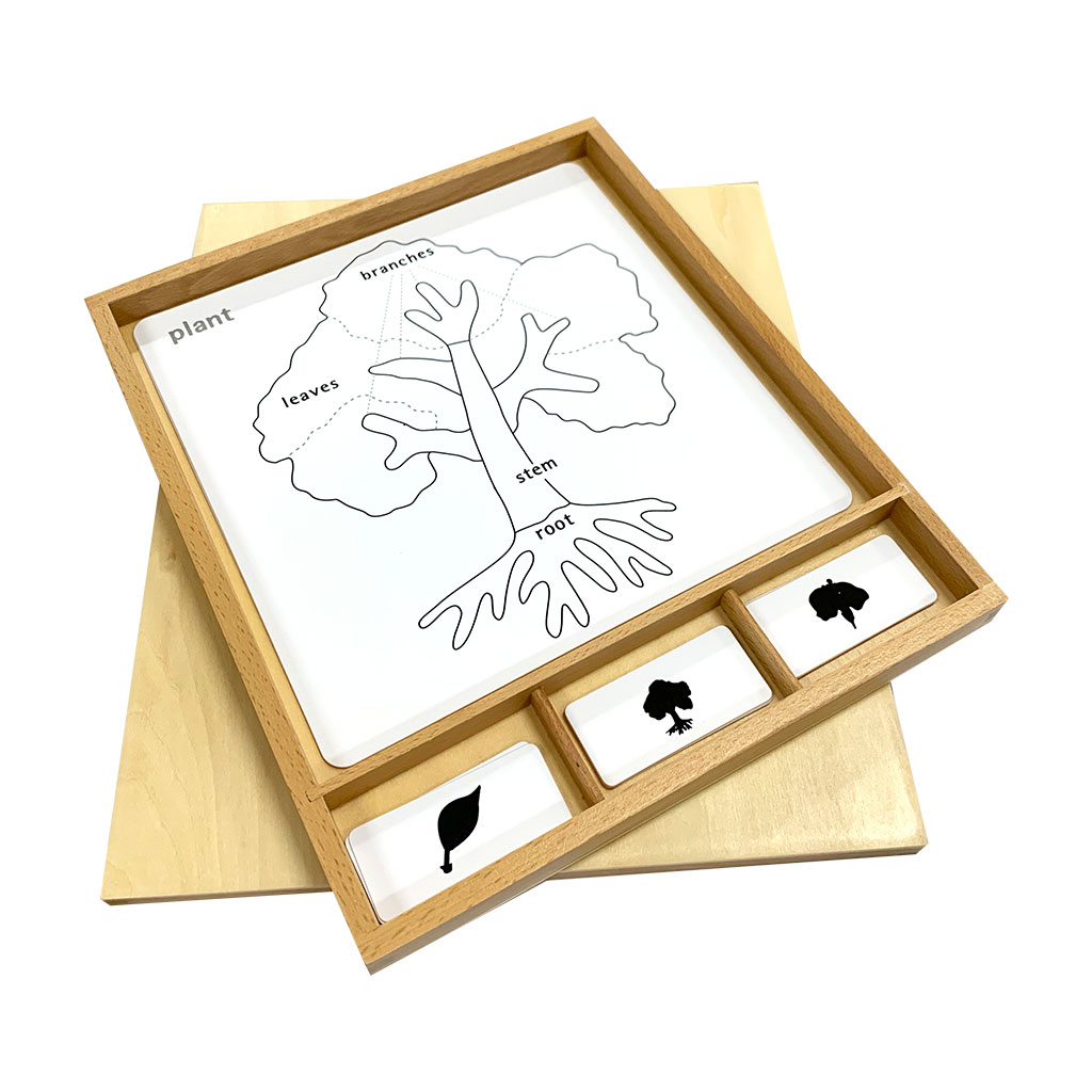 Botany Puzzle Activity Set
