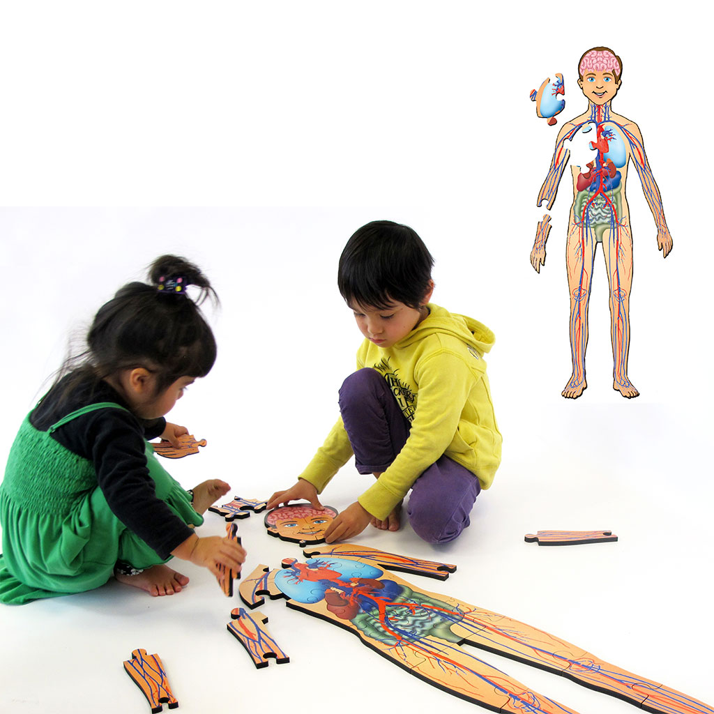 Human Body Floor Puzzle